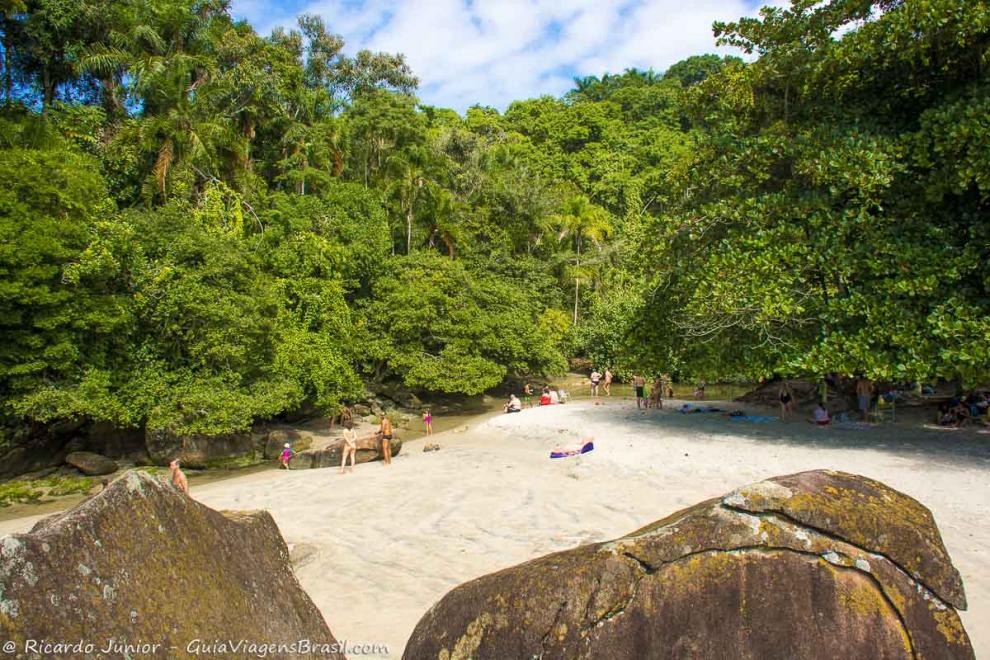 Imagem de turistas no canto da praia em baixo de árvores lindas.